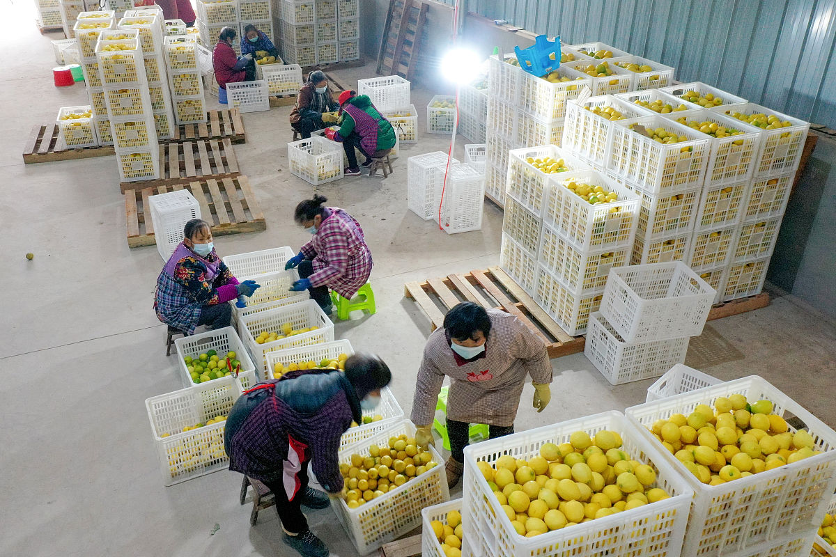 2020年南充哪些学校招初中起点航空专业