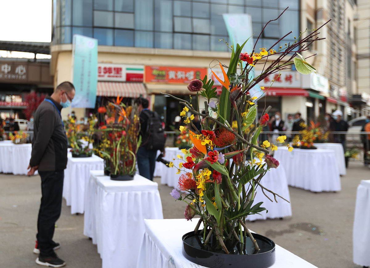 昆明卫生职业学院护理专业就业前景怎么样