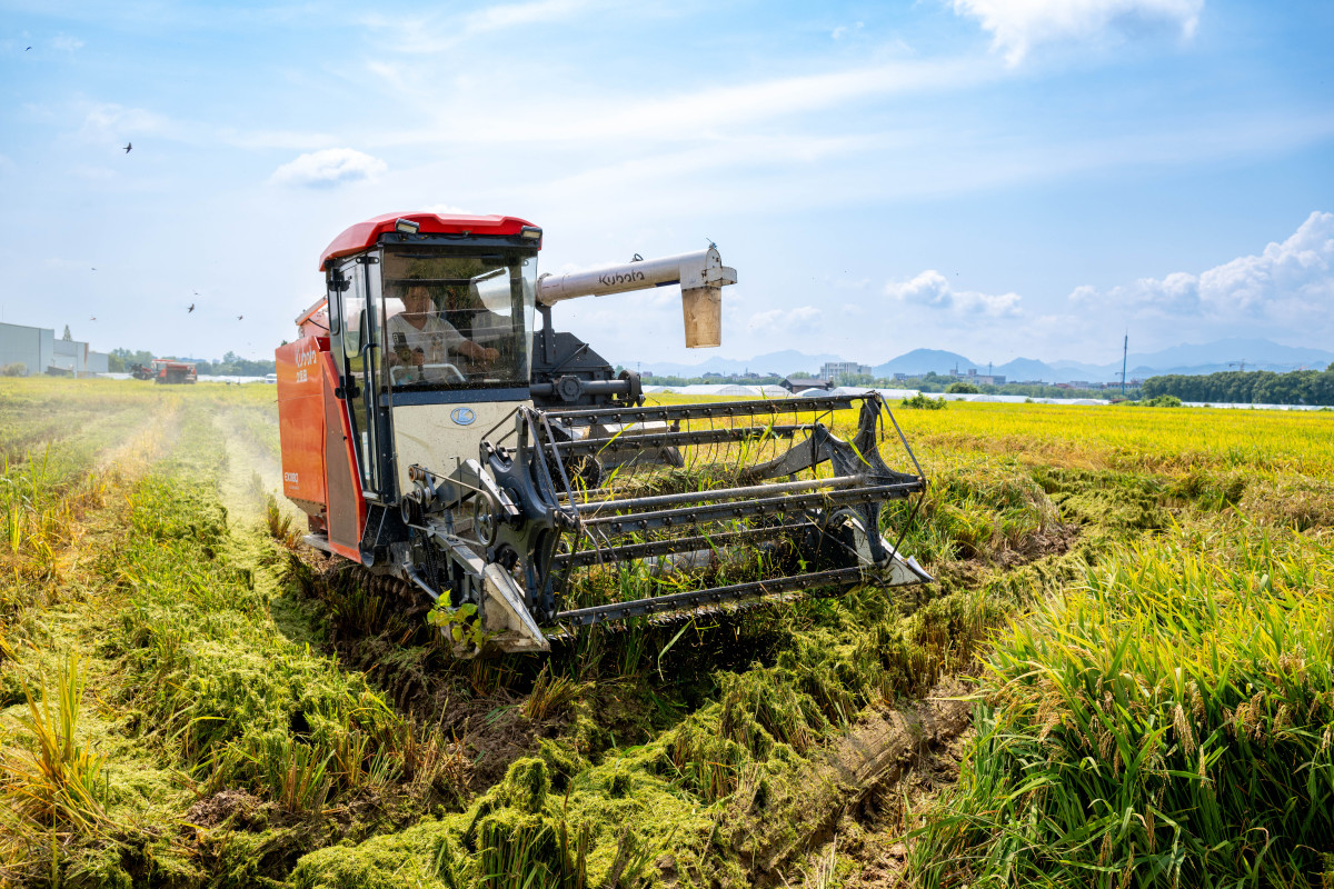 水稻机械：提高效率、降低劳动强度，保障粮食安全