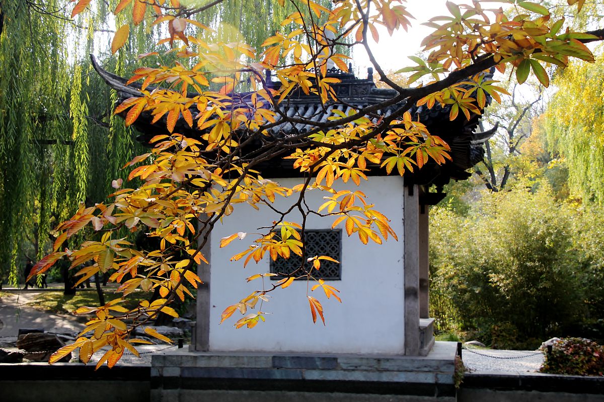 2019年兴义市中等职业学校招生简章