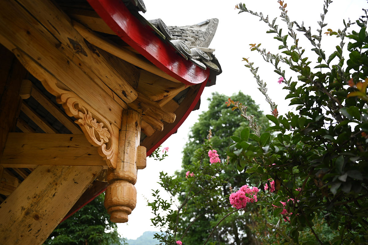 「初中生可以读成都卫生学校吗」成都卫校初中生可以报考吗