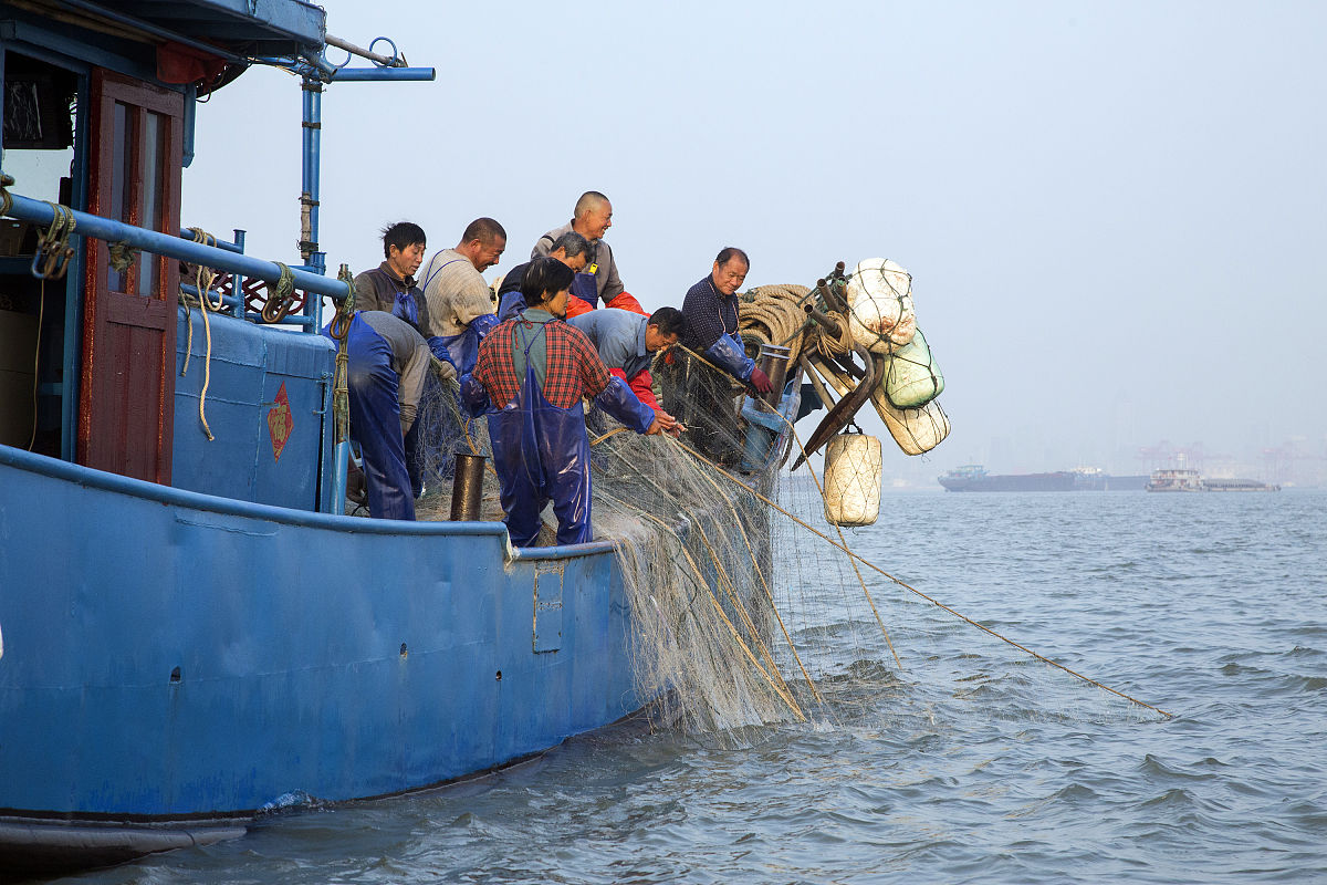 95 years later however things became distinctly opposite with countless fishing boats occupying the entire ocean and only one fish remaining on the seafloor waiting to be hunted any time soon用中文分析一下句子