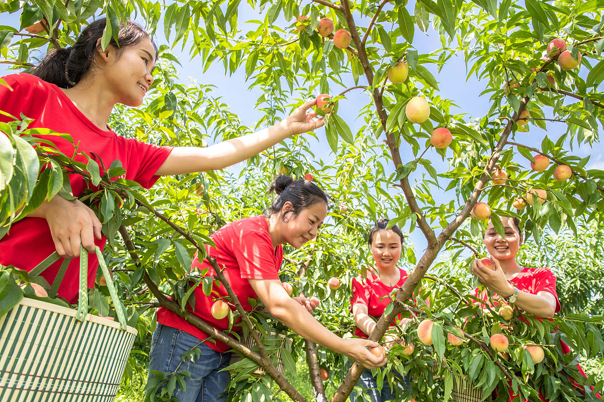 重庆农业机械化学校电子商务专业办学层次介绍