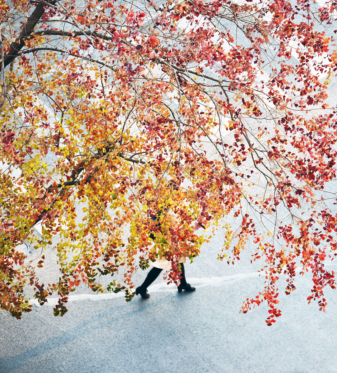皖西经济技术学校2022年招生简章