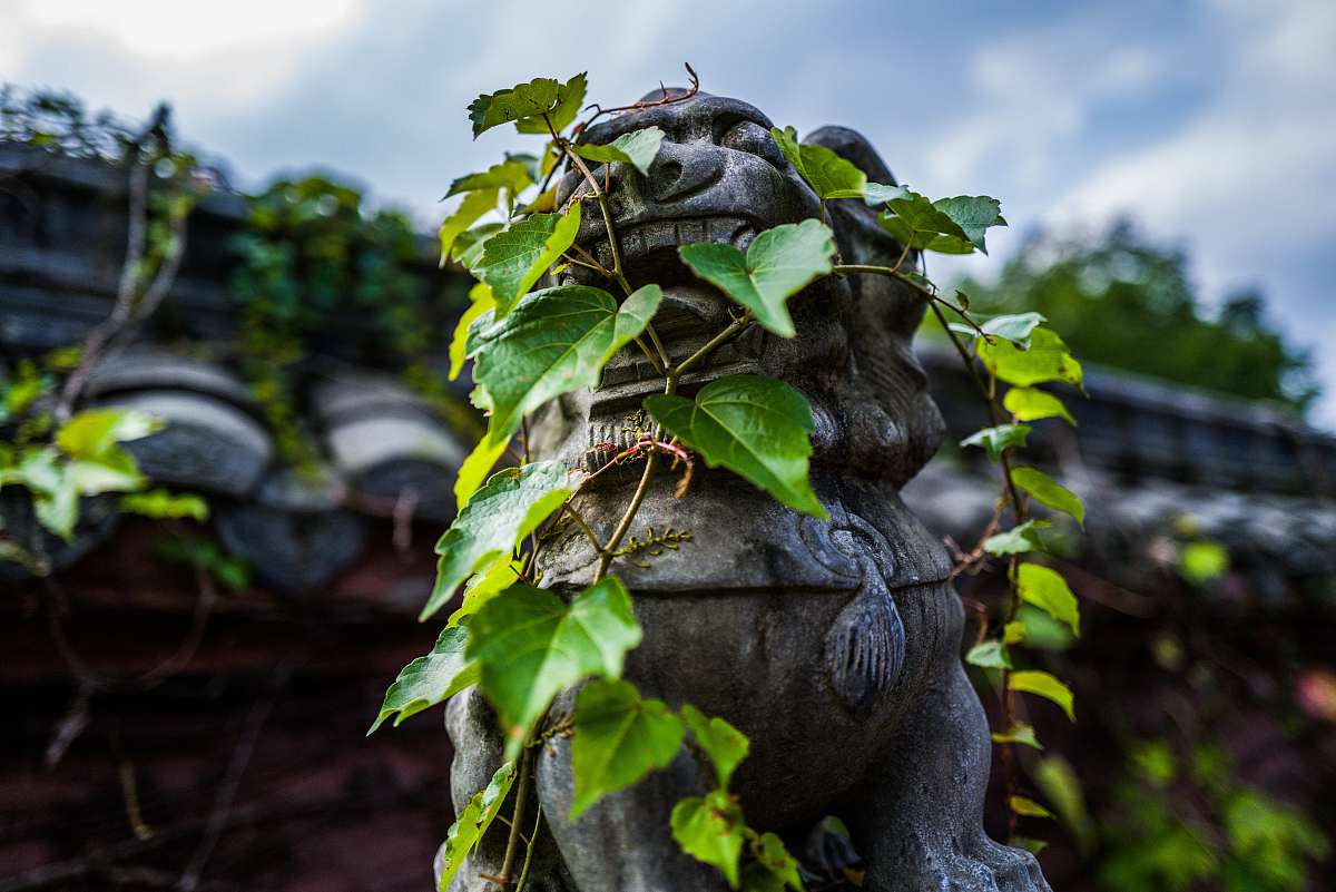 关于四川遂宁市公路施工总承包二级办理转让哪个公司有？字数