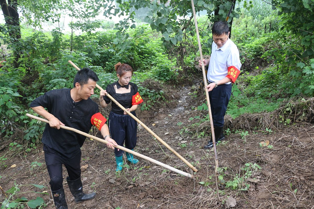 扎根林海，实践成长：一位林学学生的劳动感悟