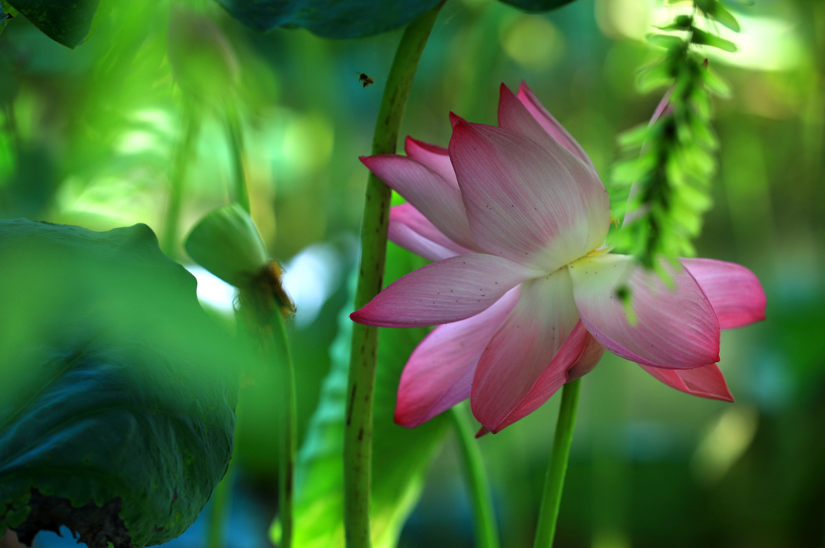 江苏2022年就业好的幼师学校-怎么样