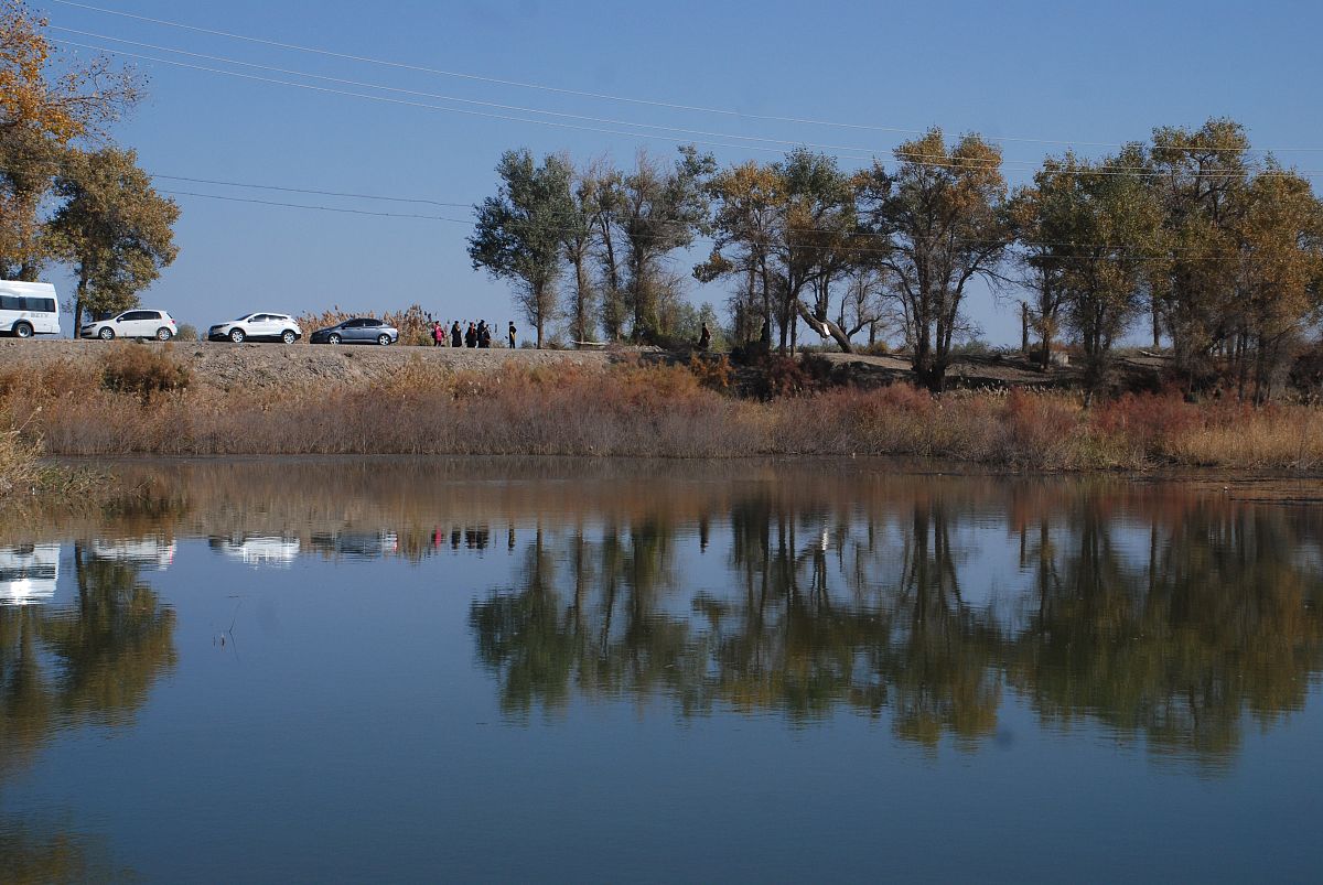 新疆库尔勒：水果之乡、沙漠风光与多元文化