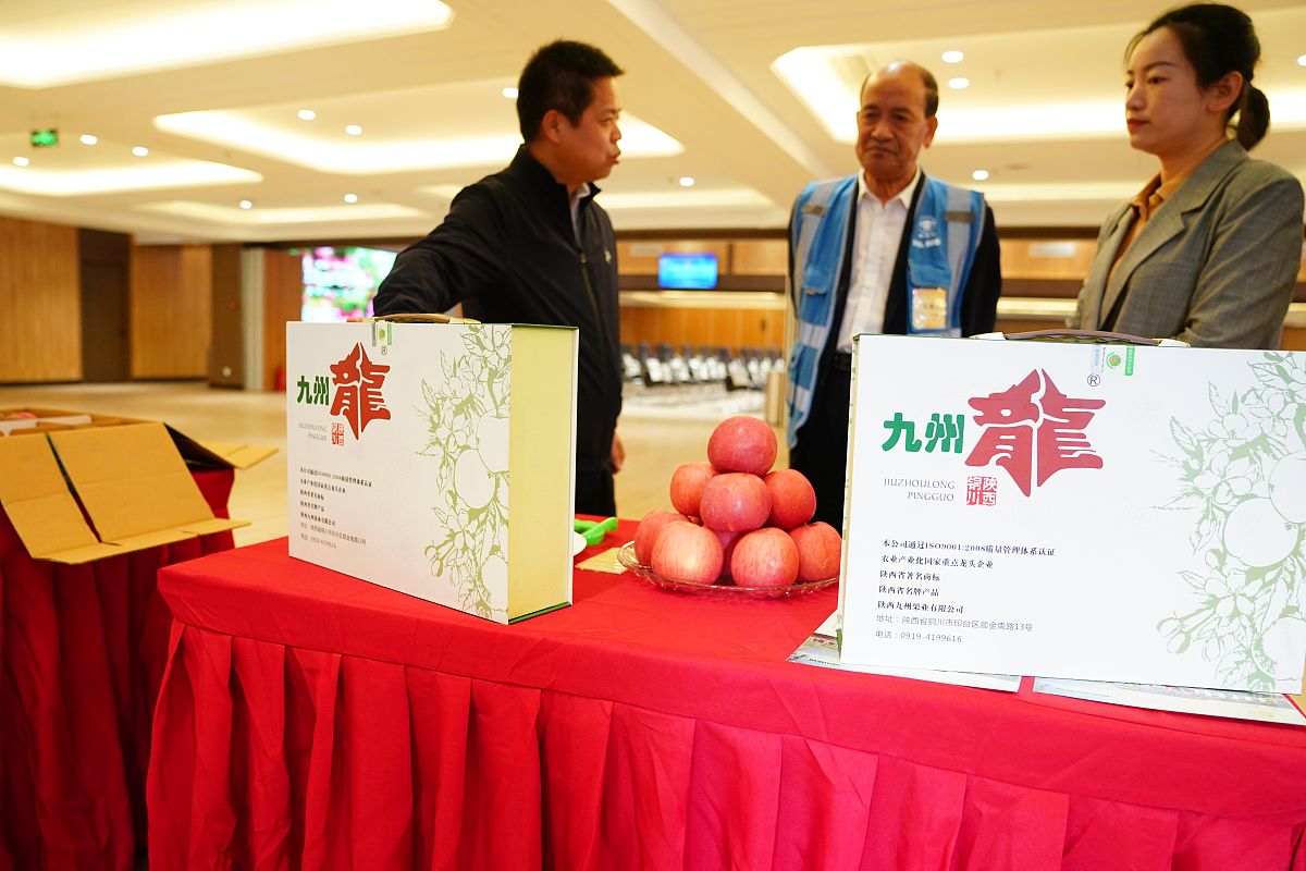 铜川卫校2022年热门专业推荐：护理、中医、口腔医学