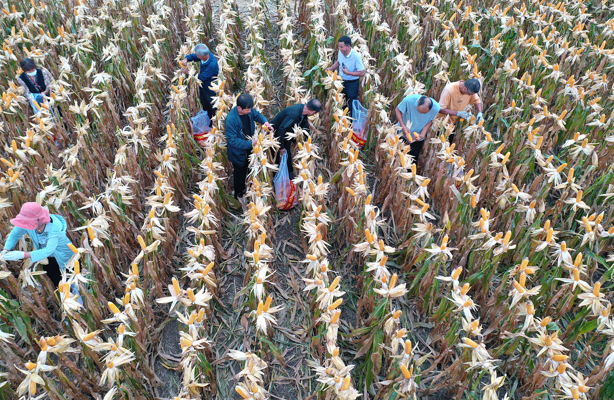 湖州现代农业技术学校2023年有哪些专业招生