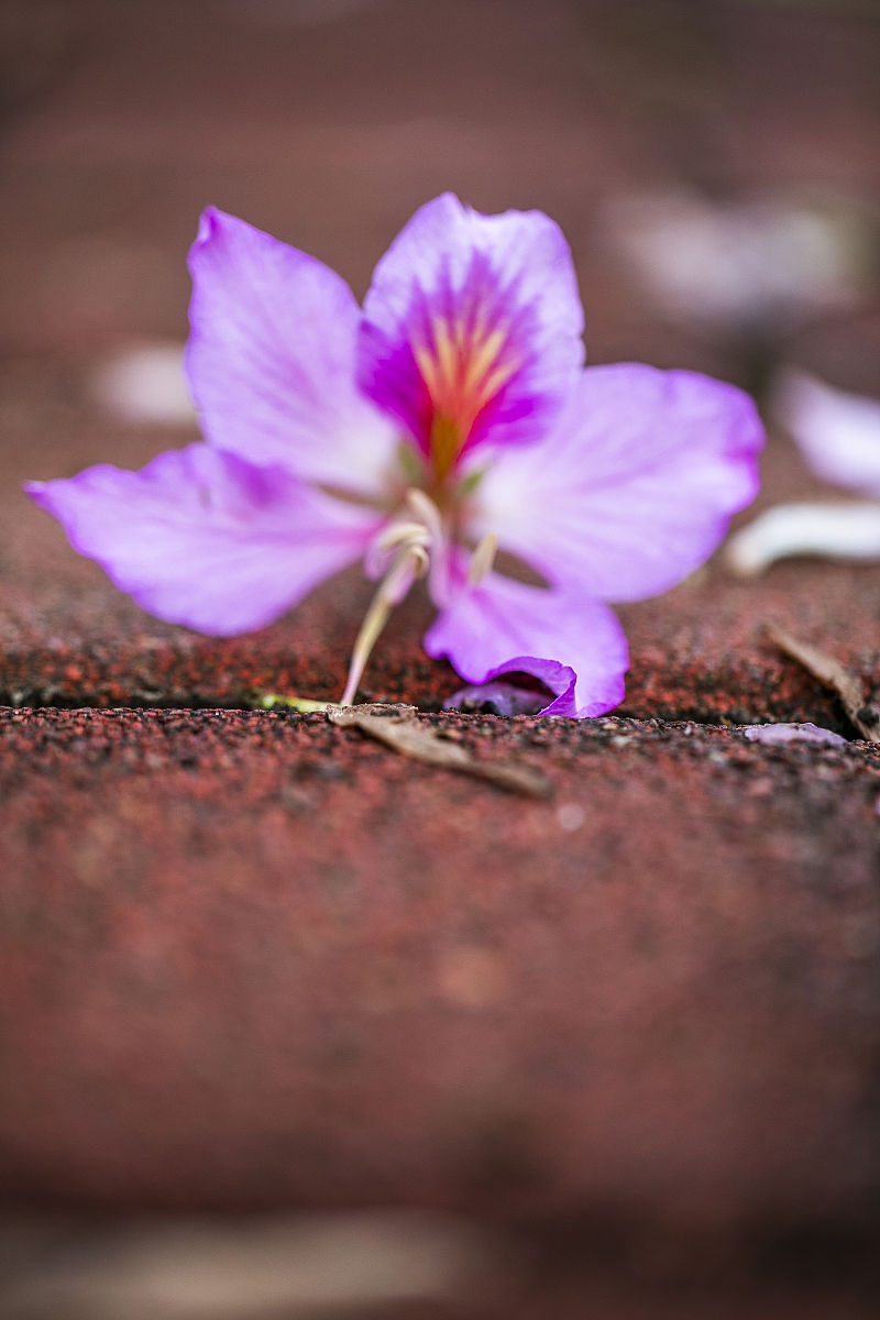 广东财经职业技术学校2022年招生要达到什么条件怎么样