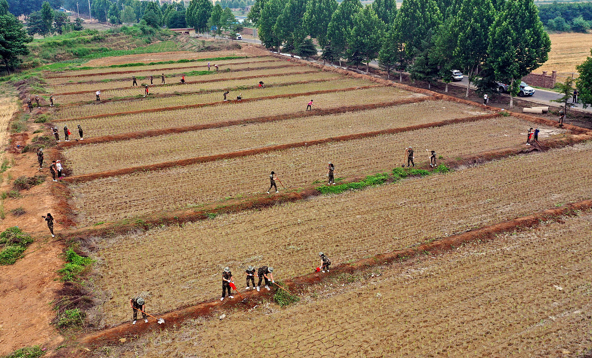 山西林业职业技术学院林业技术专业学什么？课程内容及就业方向