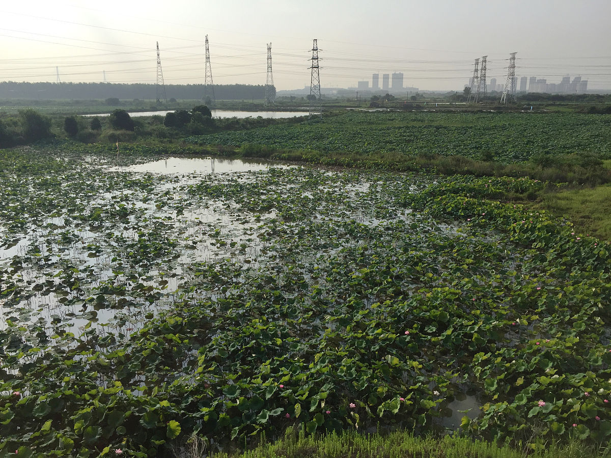 挖土方工程量计算