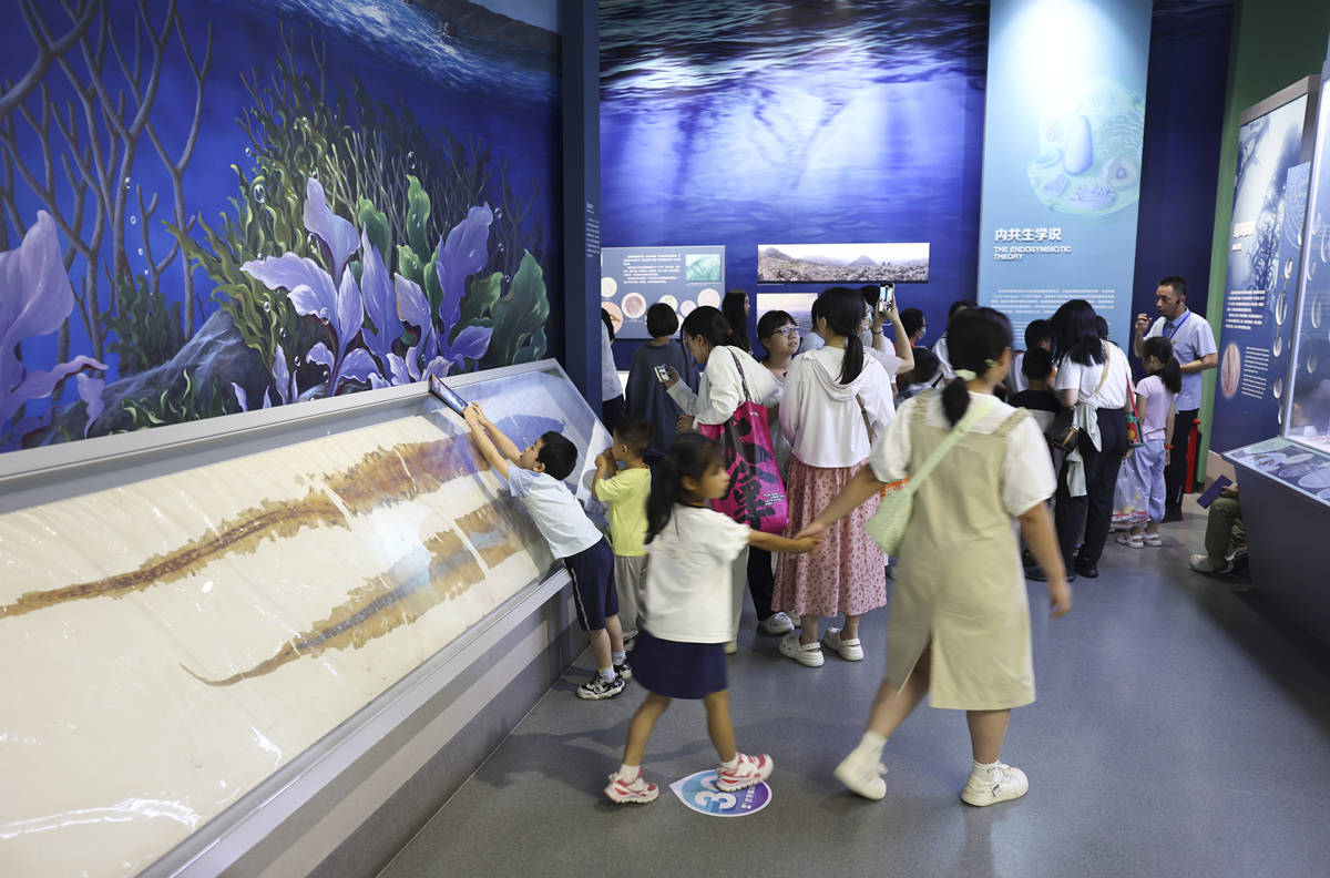 海洋馆在暑期举办了一场针对于中小学的研学活动请学一遍活动总结 字数1000