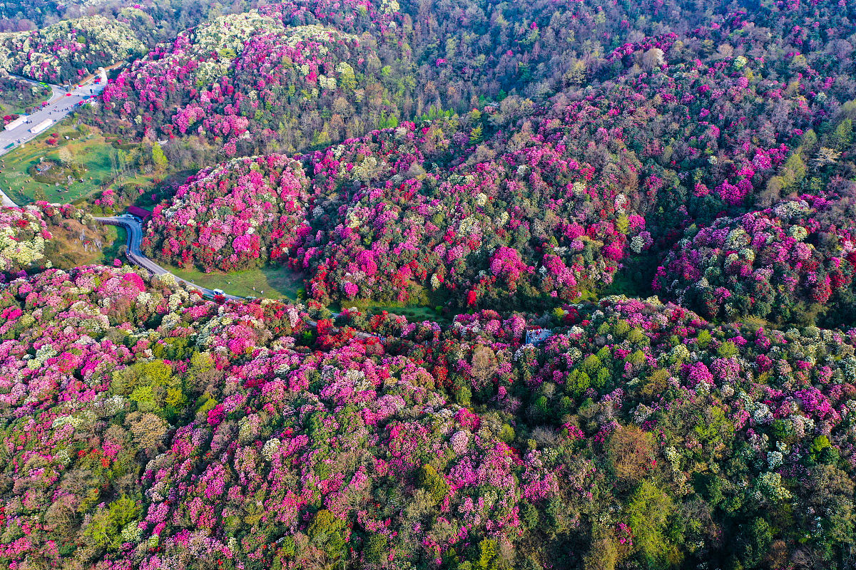 2018年黔西中等职业学校中职中专招生简章