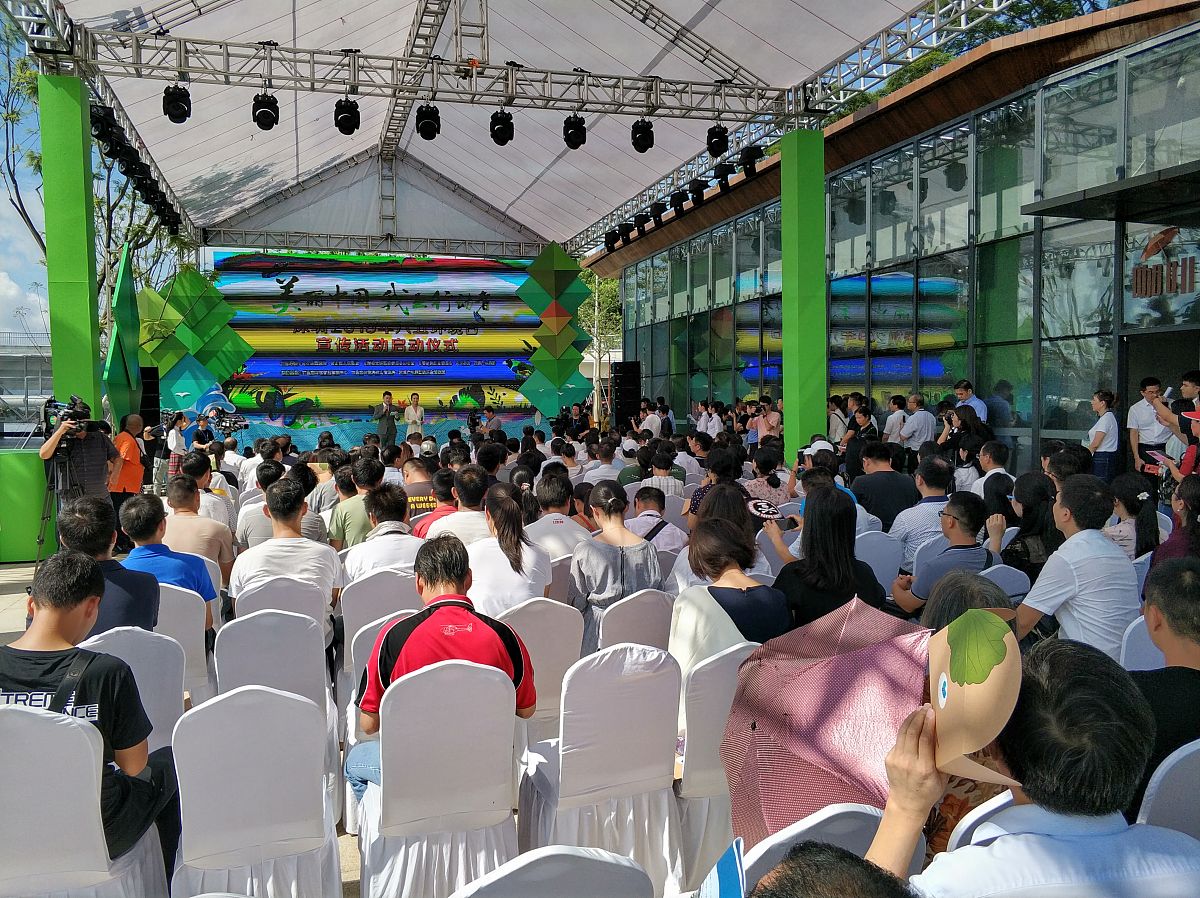 社会公益组织和公益社会组织：哪种表述更准确？