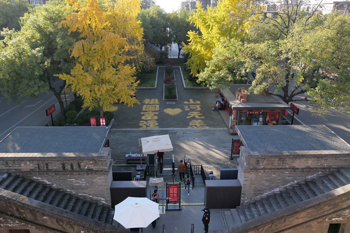 神州颂：祖国山河美，文化耀中华