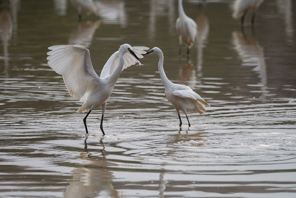 营造积极正能量的交流氛围，请尊重彼此选择