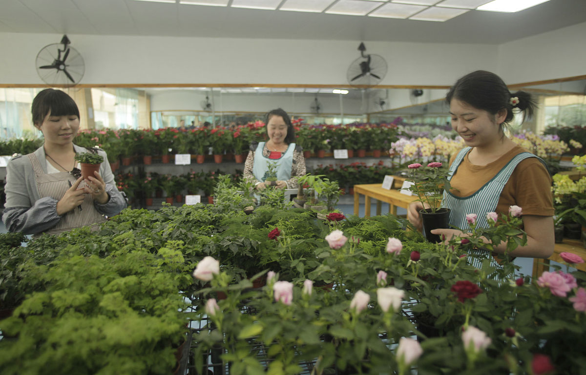 广西梧州农业学校果蔬花卉生产技术专业好不好会涉及哪些课程