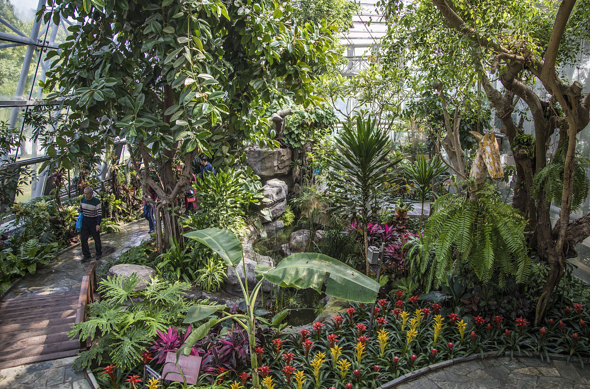 植物景观在未来公司办公空间设计艺术研究论文 写