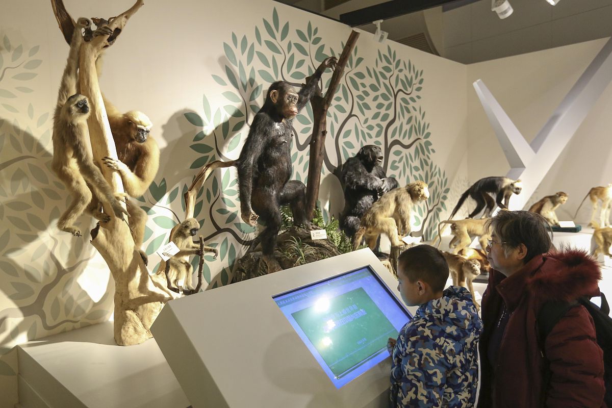 小学生爱看展：开拓眼界，增长知识，快乐无限