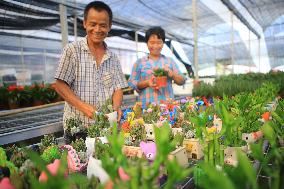 果蔬花卉生产技术就业方向：前景广阔，机遇无限