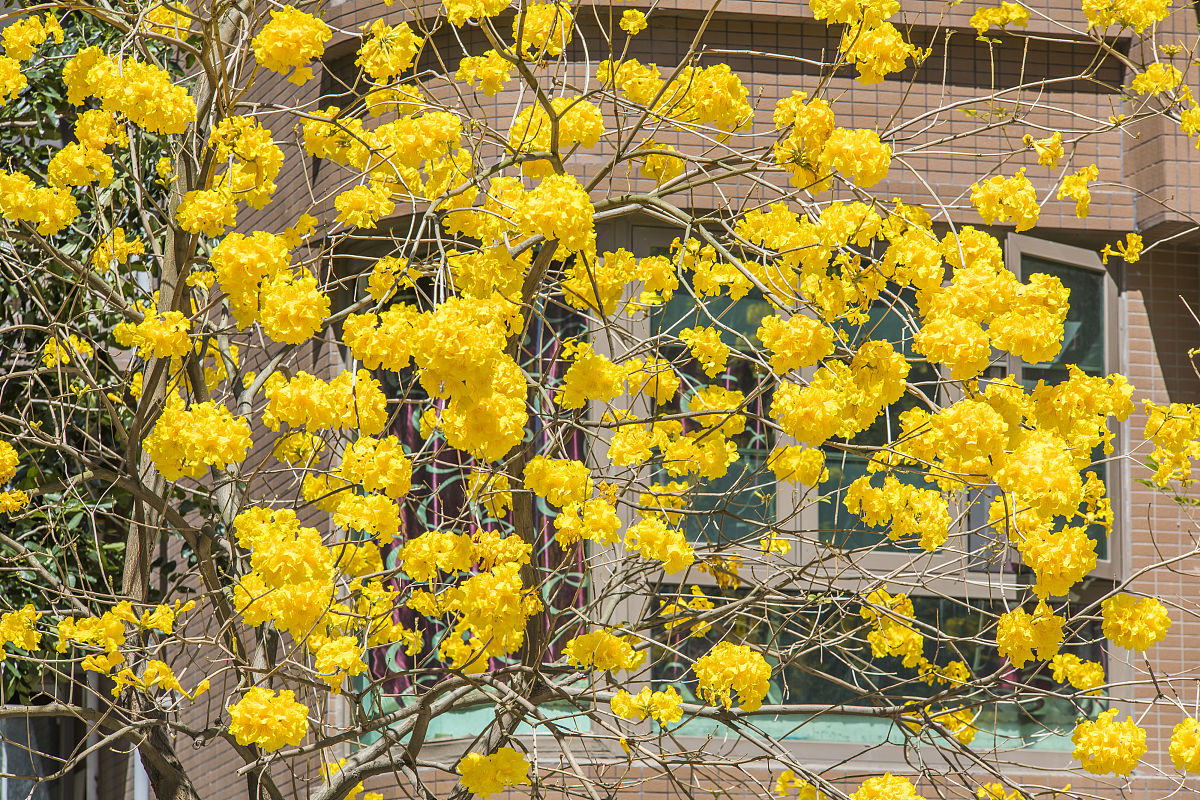 榆中县农业人口统计：2018年数据