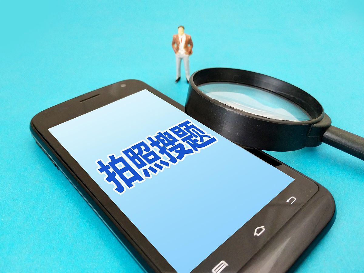 智能剽窃检测：快速、便捷、高效