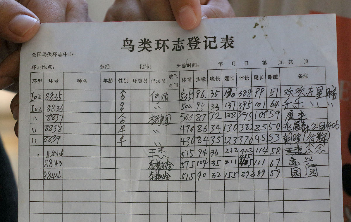 小诊所可以开就医记录吗？- 就诊记录获取指南