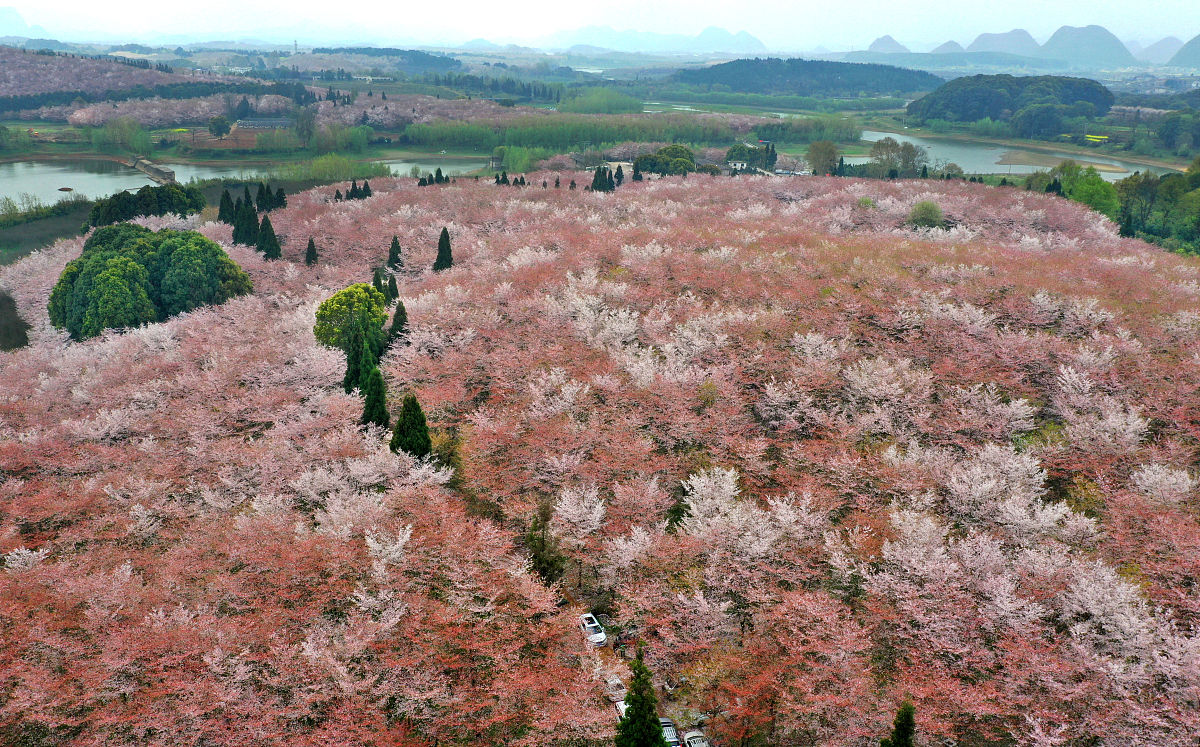 贵州医科大学口腔医学专业2022年招生 | 报考指南