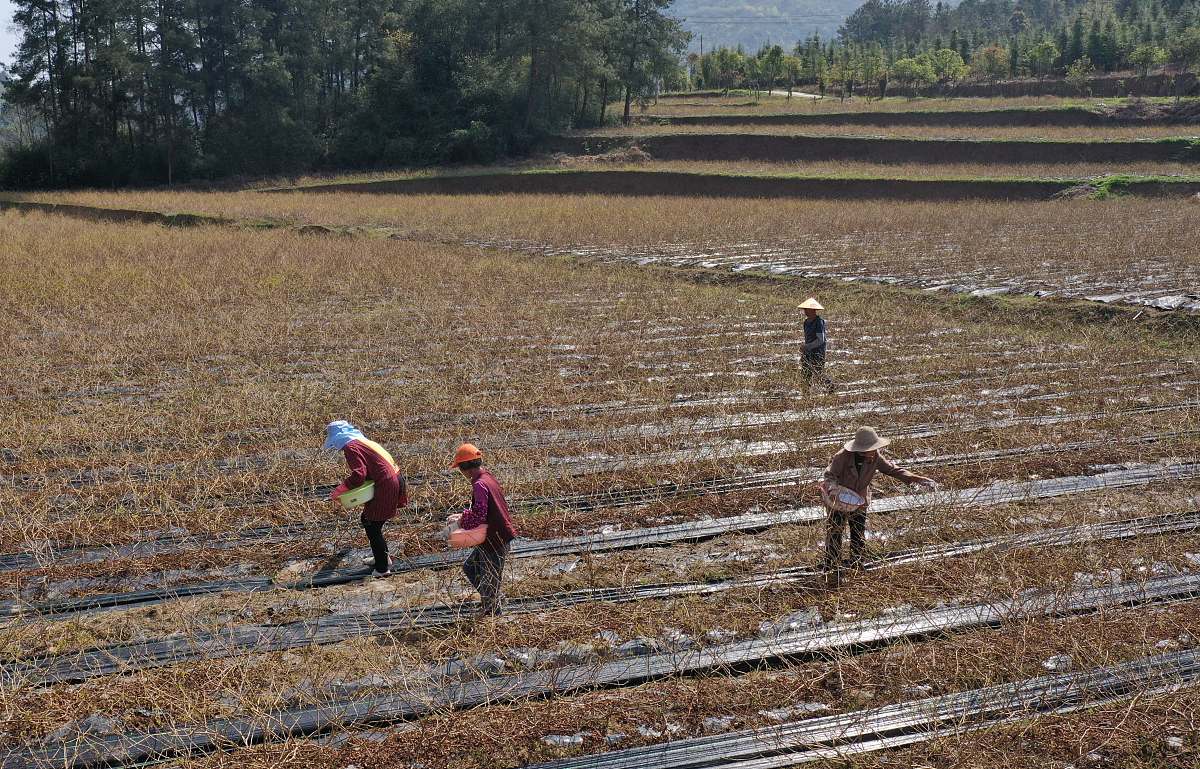 张家界机电机械学校2022年招生简章 - 报名时间、条件、专业