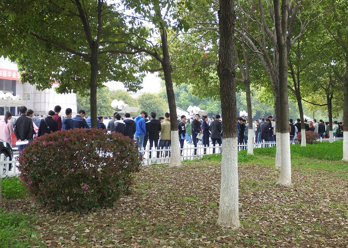 重庆三峡联合职业大学的电子商务专业教学怎么样