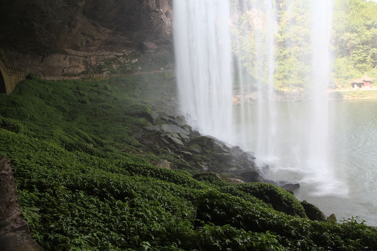 重庆旅游幼师学校2022招生简章