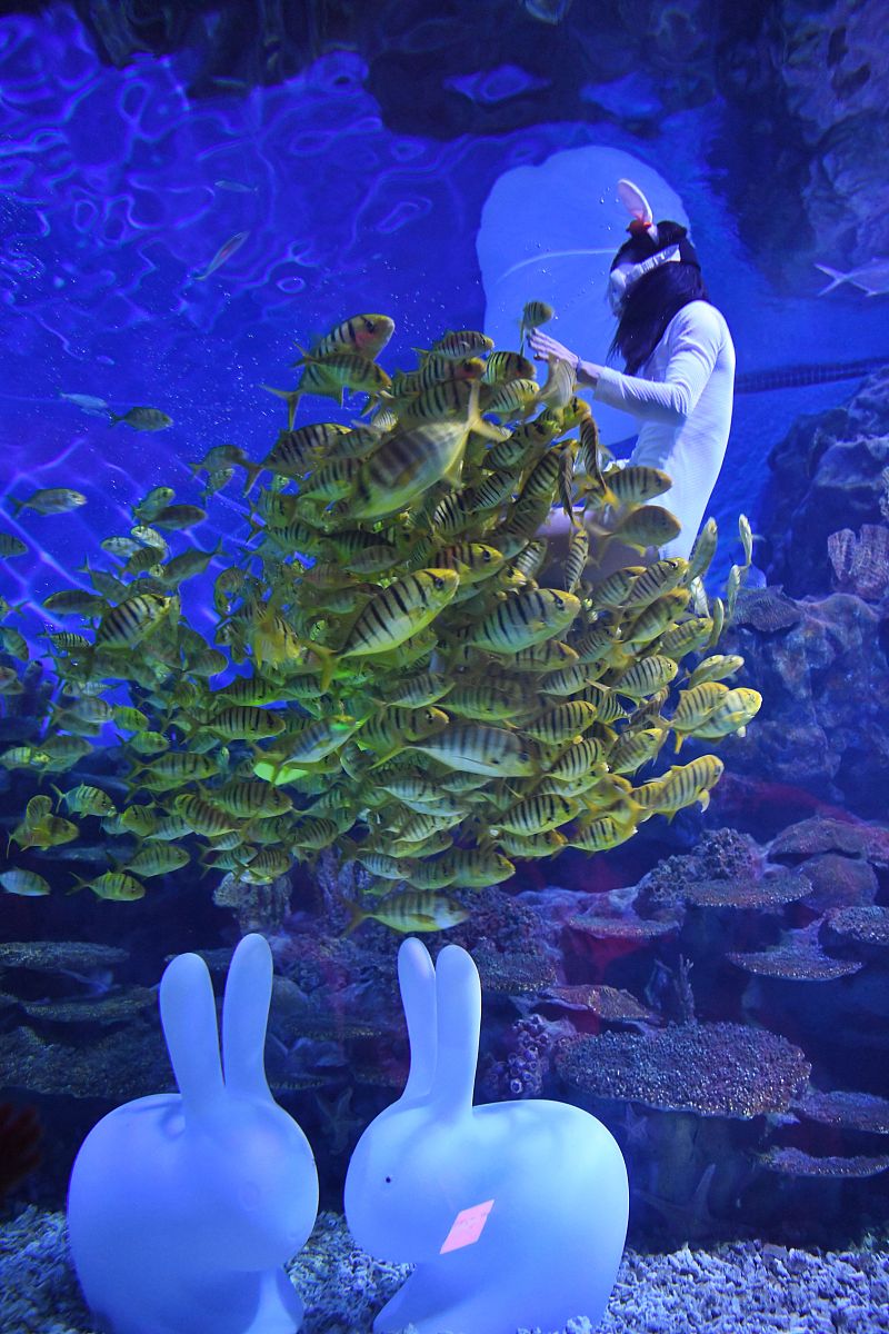 突破传统限制：基于电致发光的自供电水下光学无线超声波传感器