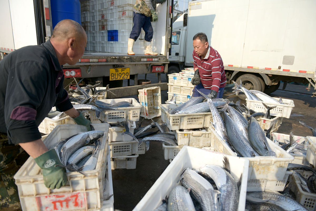 货物霉变情况说明：图片显示霉变货物位于货堆内部