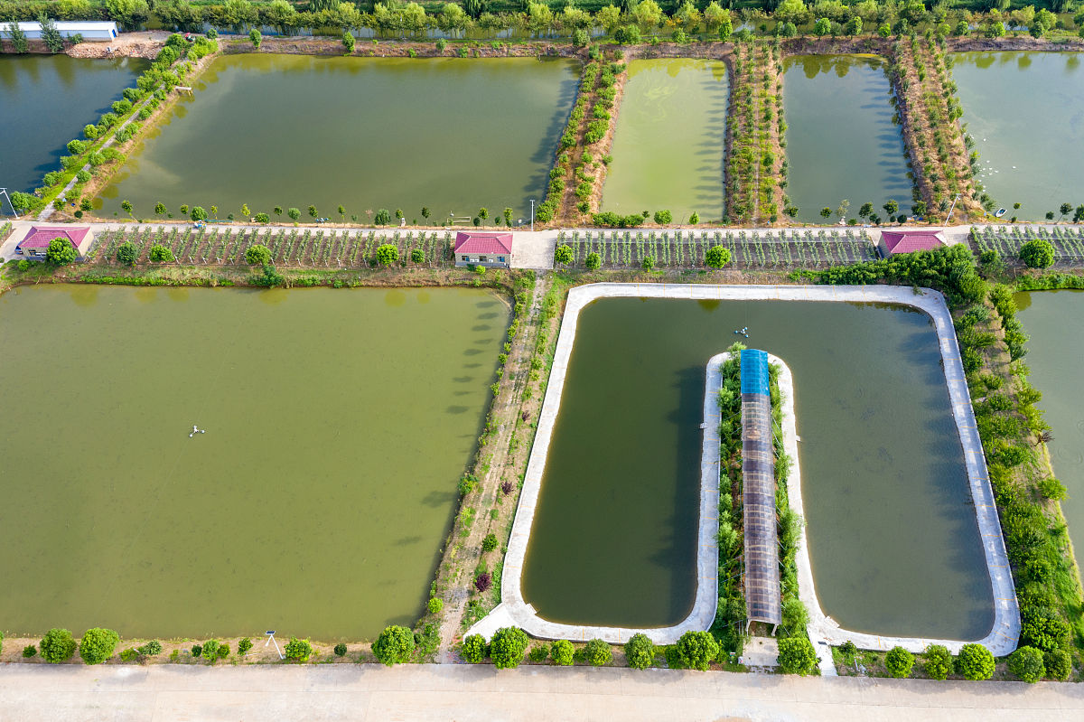 海水生态养殖专业就业前景及方向