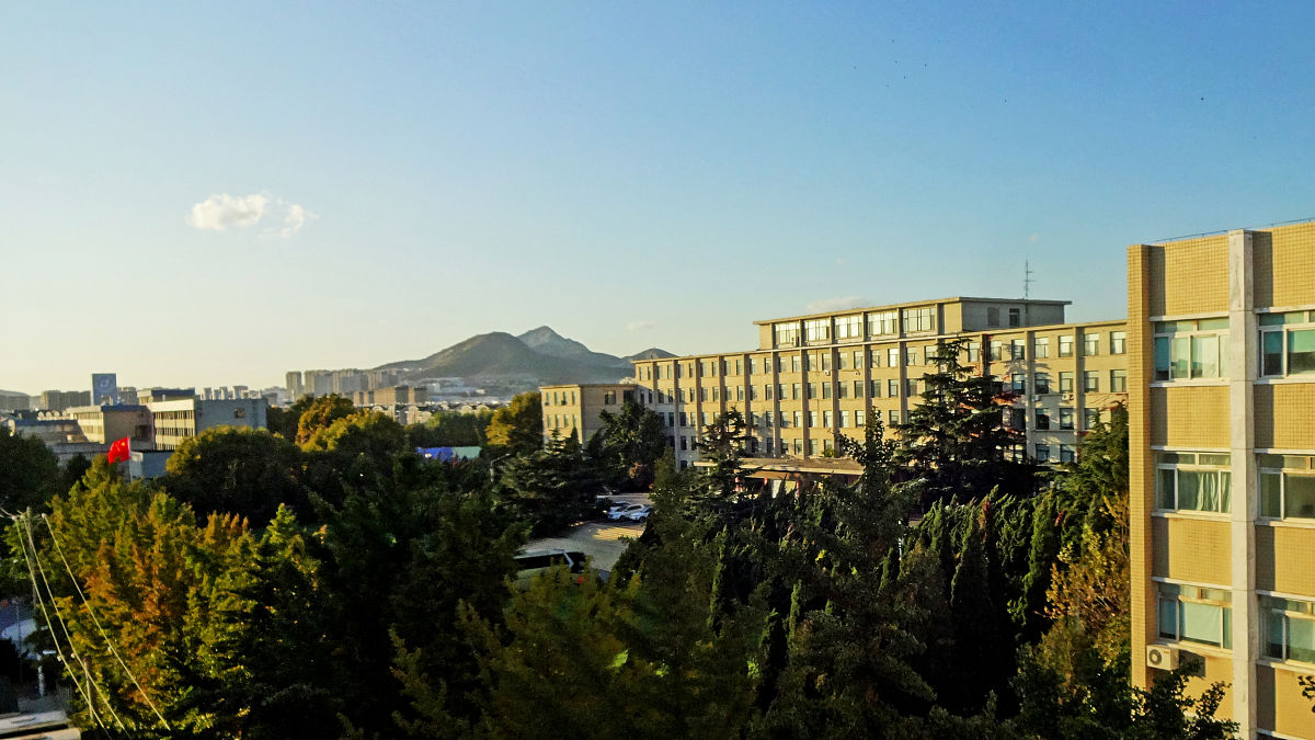 大连海事大学国际经济与贸易专业怎么样