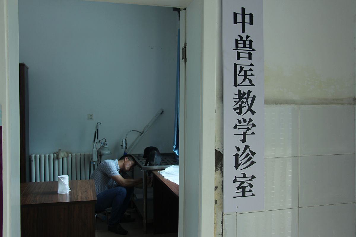 甘肃中医学院2019年招生简章