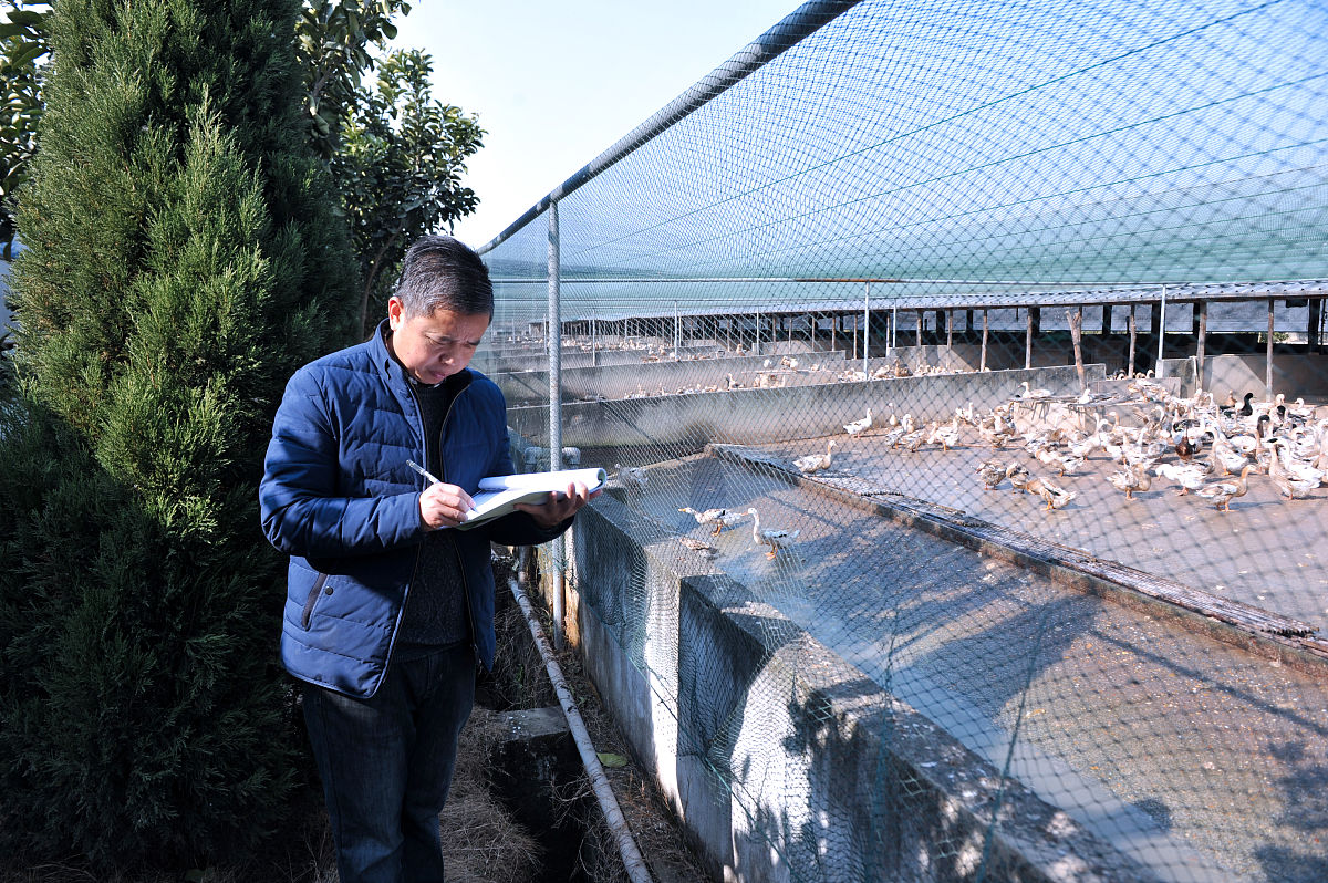 2023年乡镇干部乡村振兴调研报告：现状、问题与建议