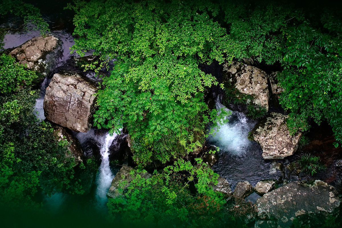 江西井冈山经贸学校2021年招生条件及报名指南