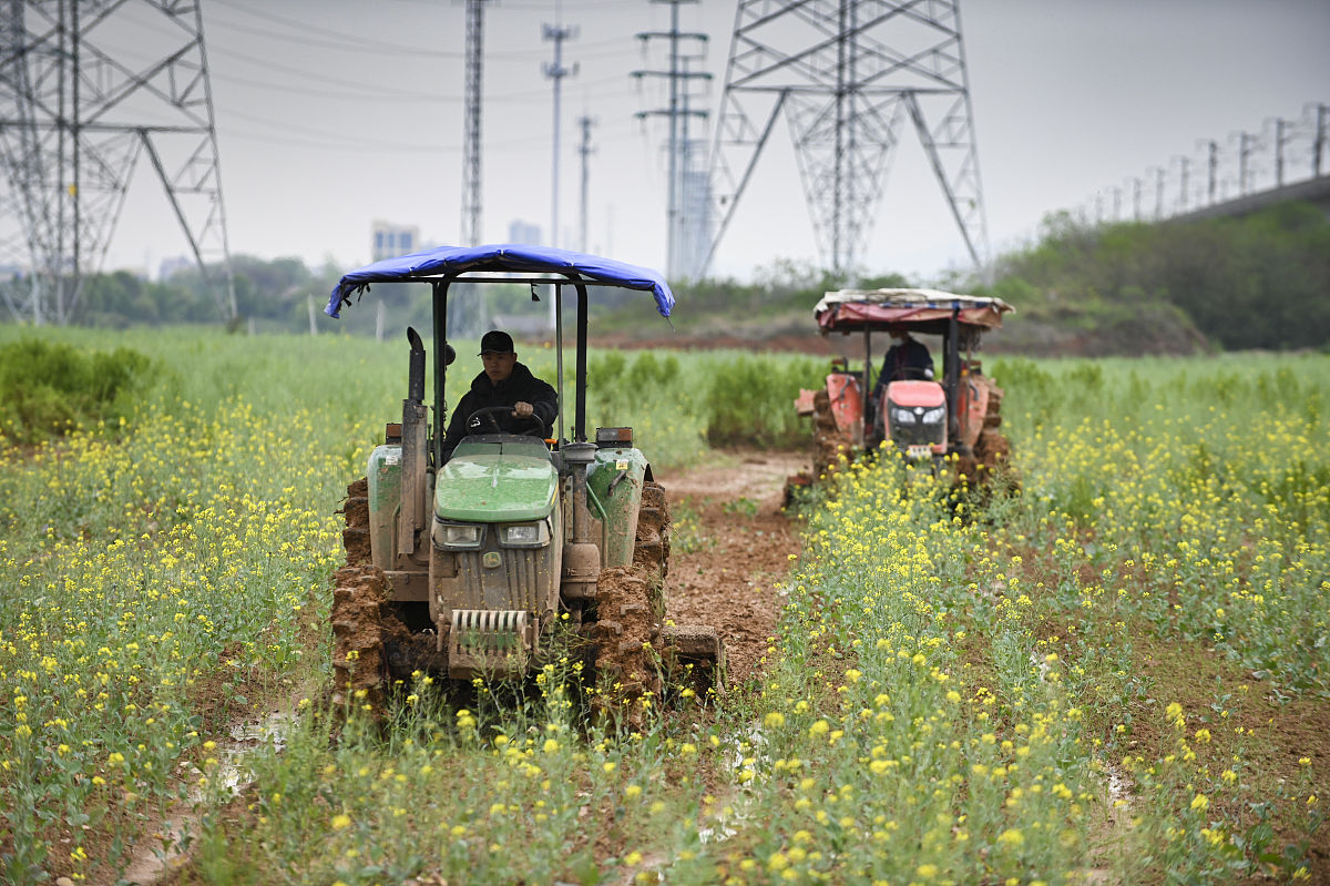 全域土地综合整治业务的项目运作模式