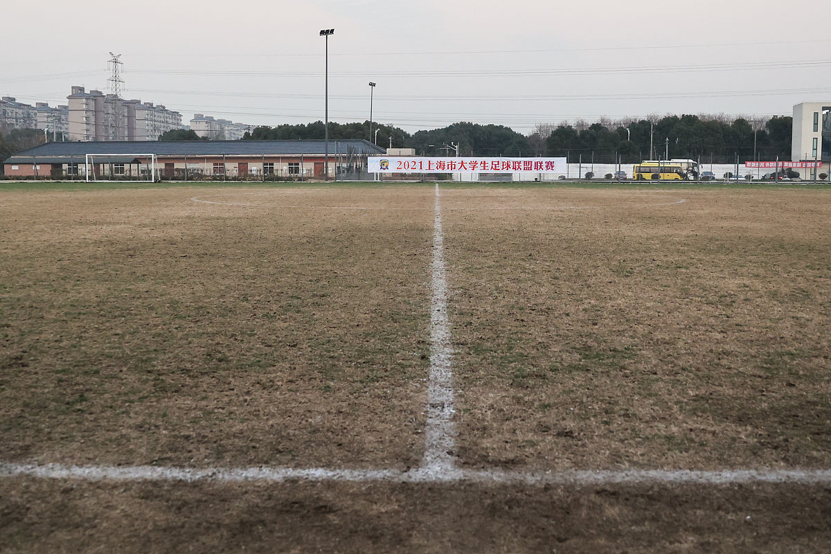 670 平方米草皮交付：为周四降雪做好准备