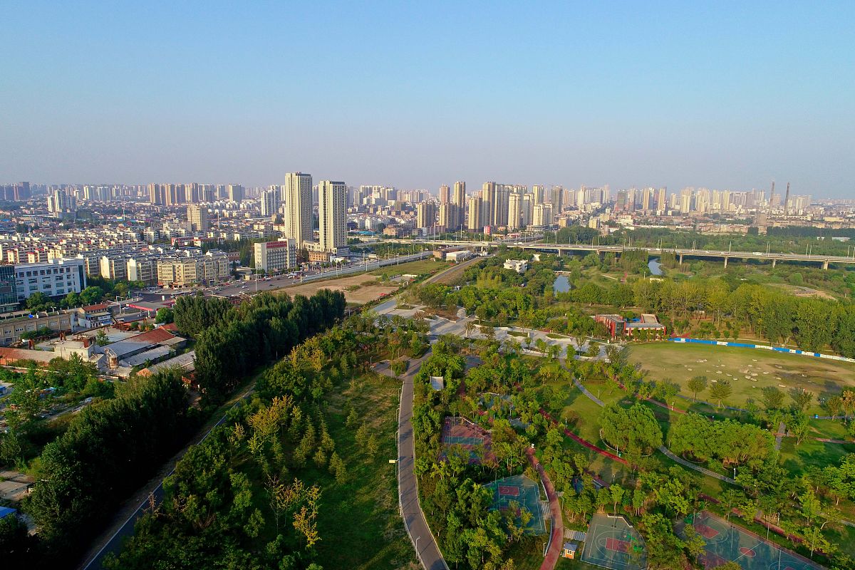 2018年8月24日,湖北省襄阳市,夏末秋初的月亮湾公园,绿草如茵,芦花飘