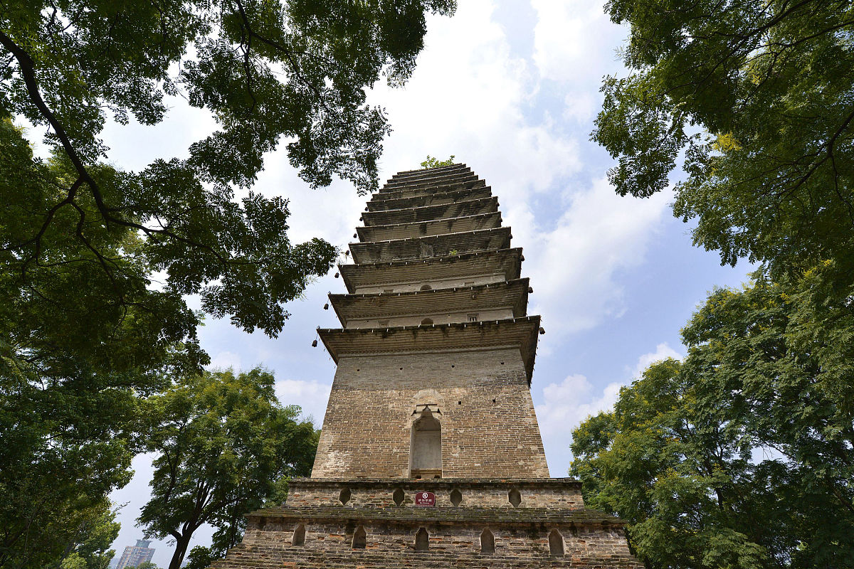2019年四川省旅游学校招生专业及计划