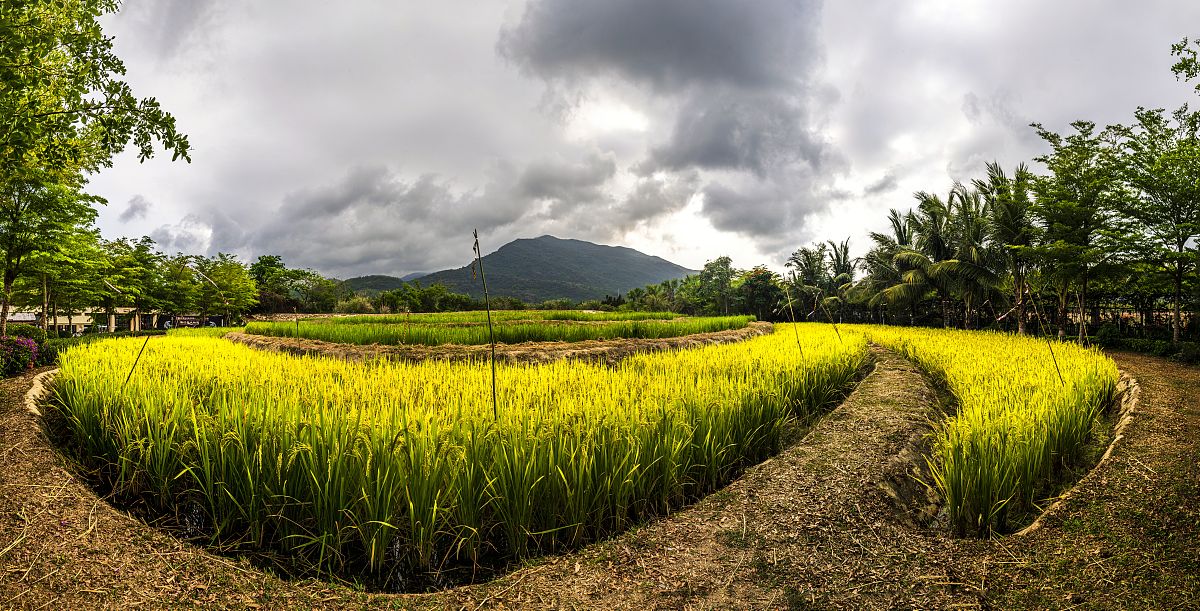 结核病专科护士基地申报材料：专业发展与工作目标展示