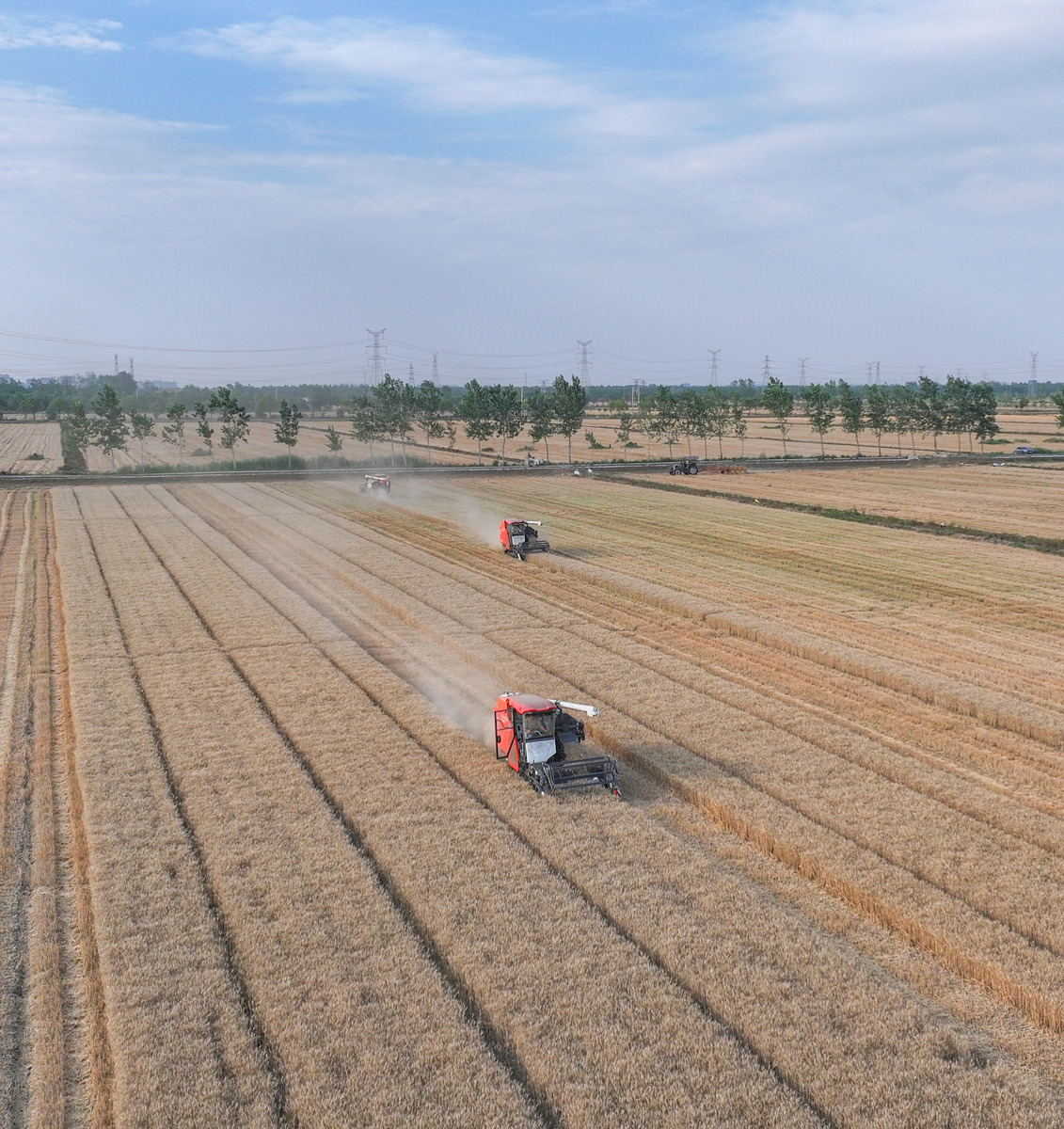 盐碱地田间育种与专用机械测试验证场建设进展