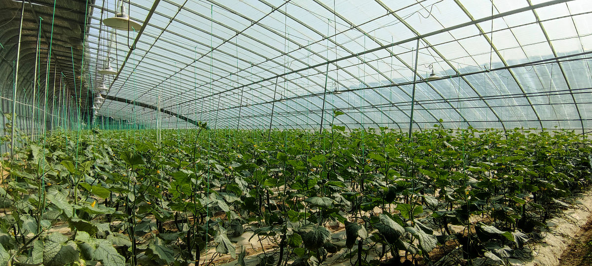 兰考三农职业学院专业设置及介绍 - 助力乡村振兴