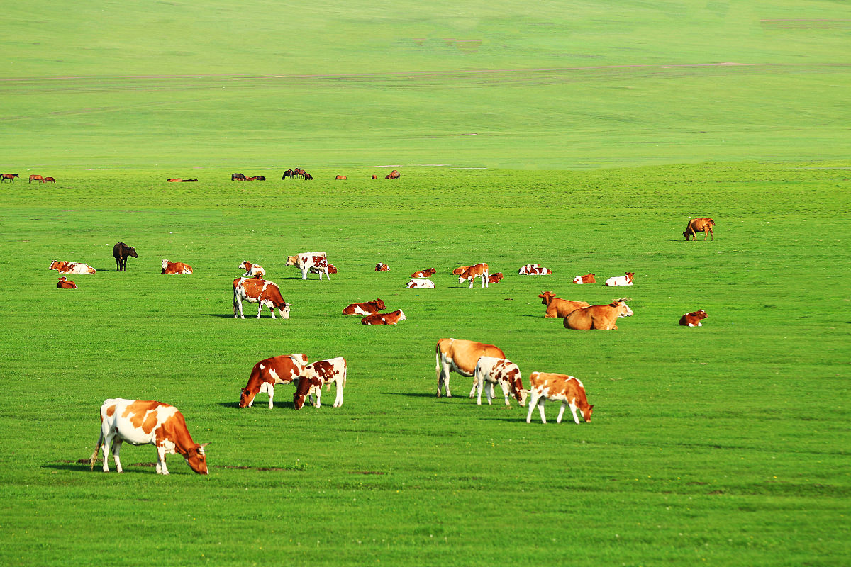 呼伦贝尔草原分等定级总结