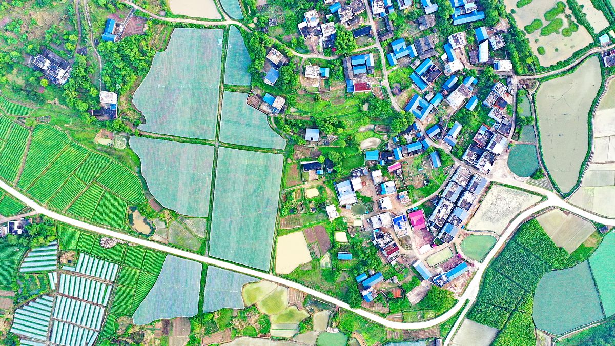 西北农林科技大学的草业科学专业就业方向如何