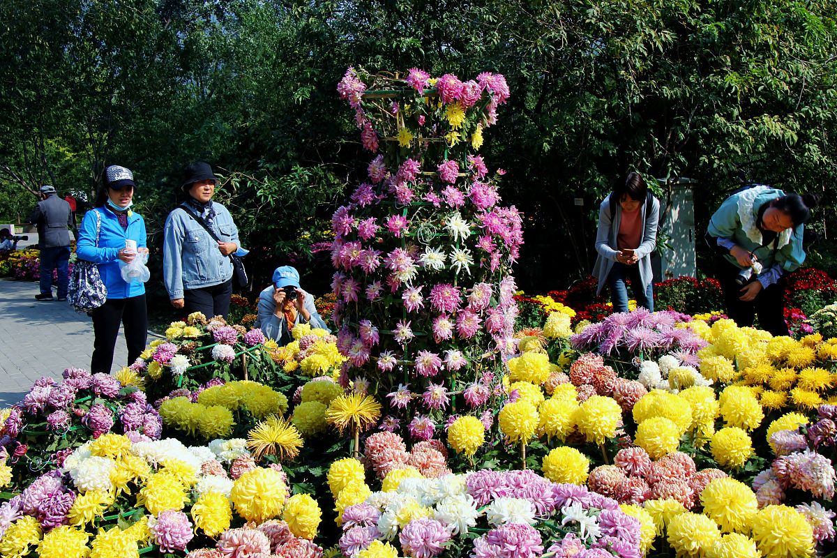 2023重阳节手抄报内容大全简单